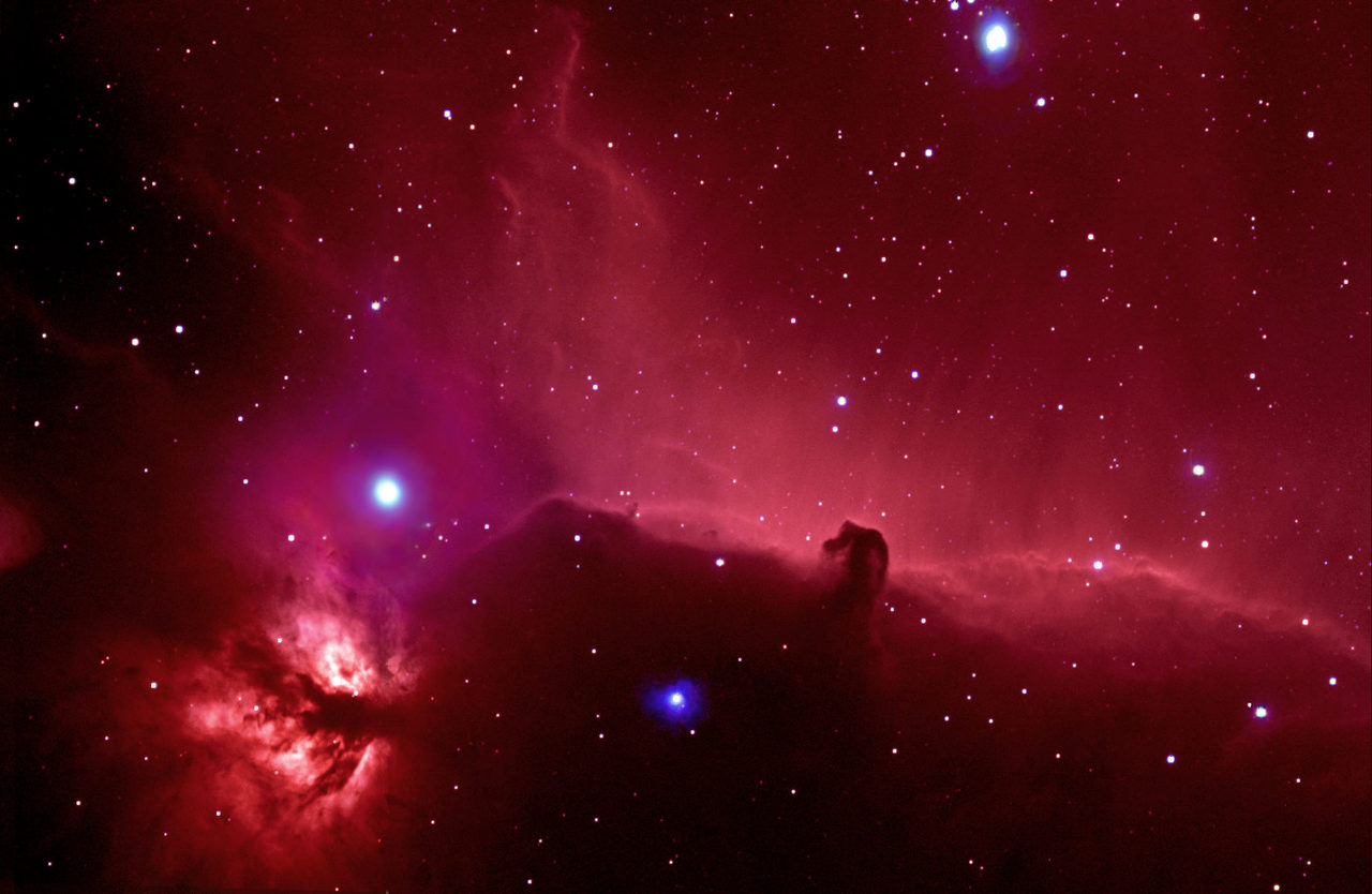 Horsehead[1]